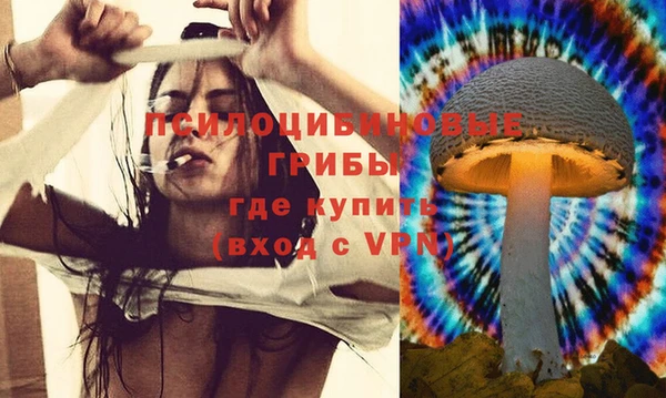 apvp Белоозёрский