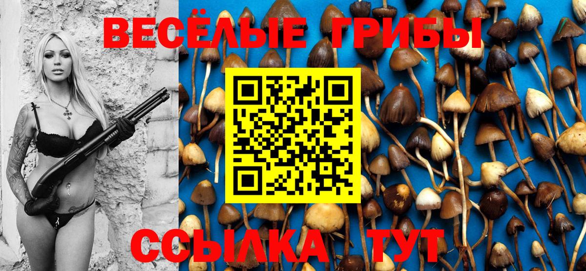 Псилоцибиновые грибы мицелий  Галлюциногенные грибы GOLDEN TEACHER  Луховицы  Вход с VPN 