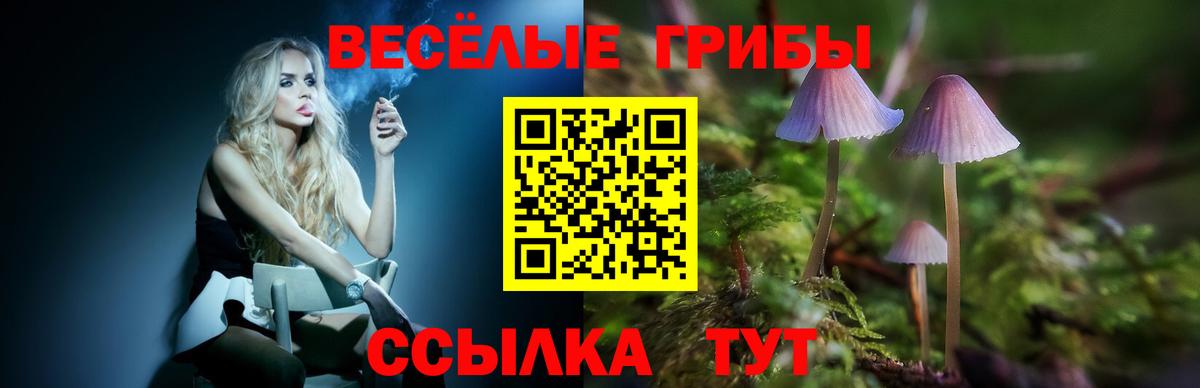 Галлюциногенные грибы GOLDEN TEACHER Луховицы